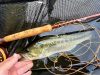 釣りをやめる日を考える。A consider of end my fishing days .